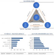 数字营销策划之流量运营三大增长引擎