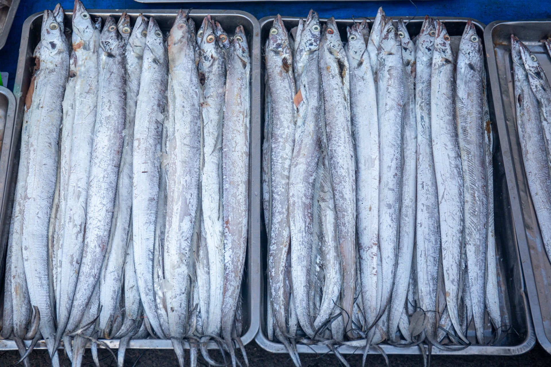 日本核污水排放引发“三大品类之变”